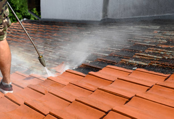 Best Exterior Home Cleaning  in Worland, WY