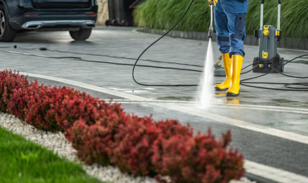 Best Exterior Home Cleaning  in Worland, WY